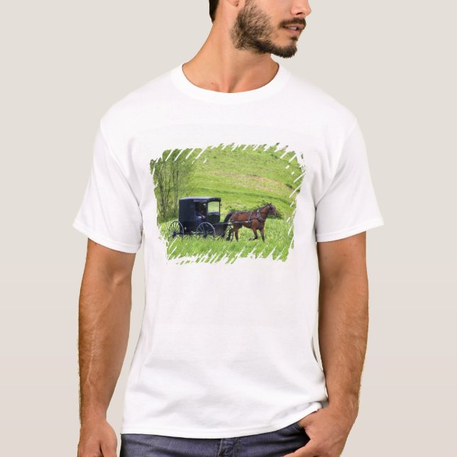 Amish häst och vagn nära Berlin, Ohio. T-shirt (Framsida)