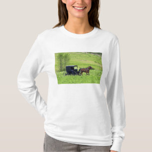 Amish häst och vagn nära Berlin, Ohio. T Shirt
