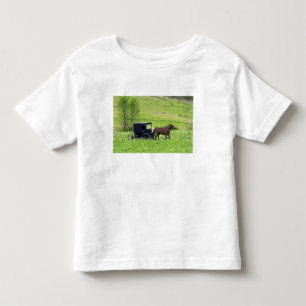 Amish häst och vagn nära Berlin, Ohio. T-shirt
