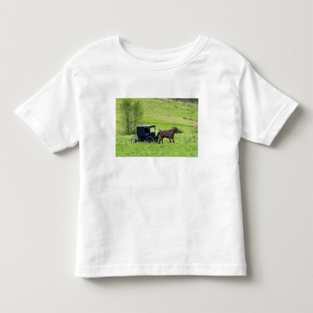 Amish häst och vagn nära Berlin, Ohio. T-shirt (Framsida)