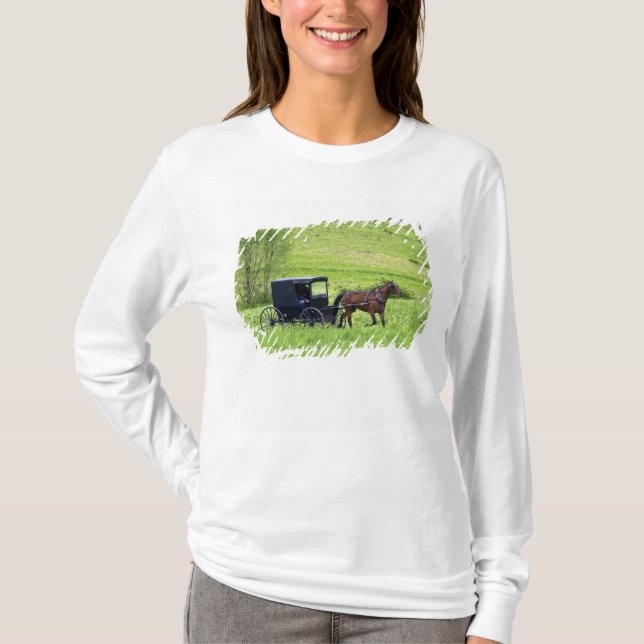 Amish häst och vagn nära Berlin, Ohio. Tee (Framsida)