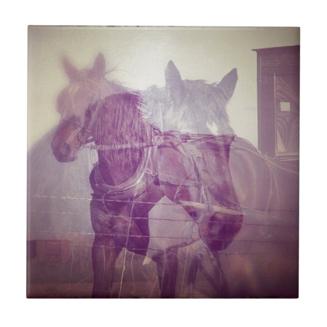 Amish-hästar digital collage kakelplatta (Framsidan)