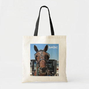 Amish hästleende! tygkasse