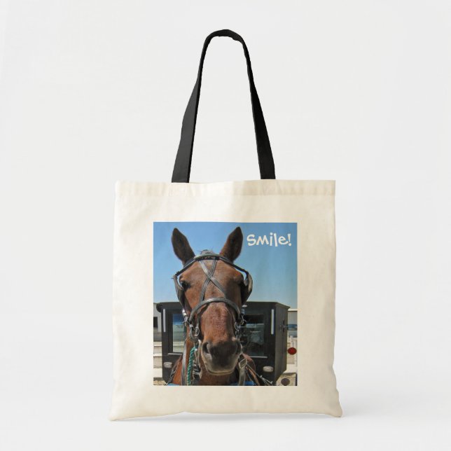 Amish hästleende! tygkasse (Framsidan)