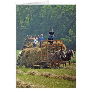 Amish Hay-skörd OBS Kort
