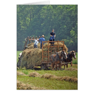 Amish Hay-skörd OBS Kort