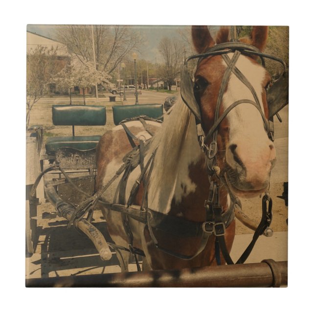 Amish Horse, A Pinto Kakelplatta (Framsidan)