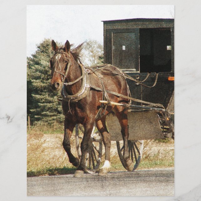 Amish Horse and Buggy (Framsida)