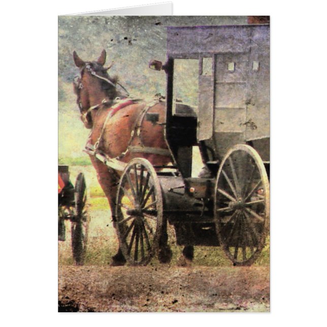 Amish Horse and Buggy Hälsningskort (Framsidan)