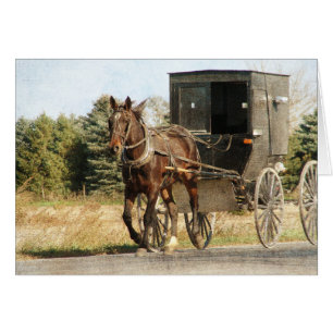 Amish Horse and Buggy Hälsningskort