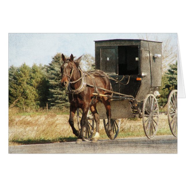 Amish Horse and Buggy Hälsningskort (Framsidan Horizontal)