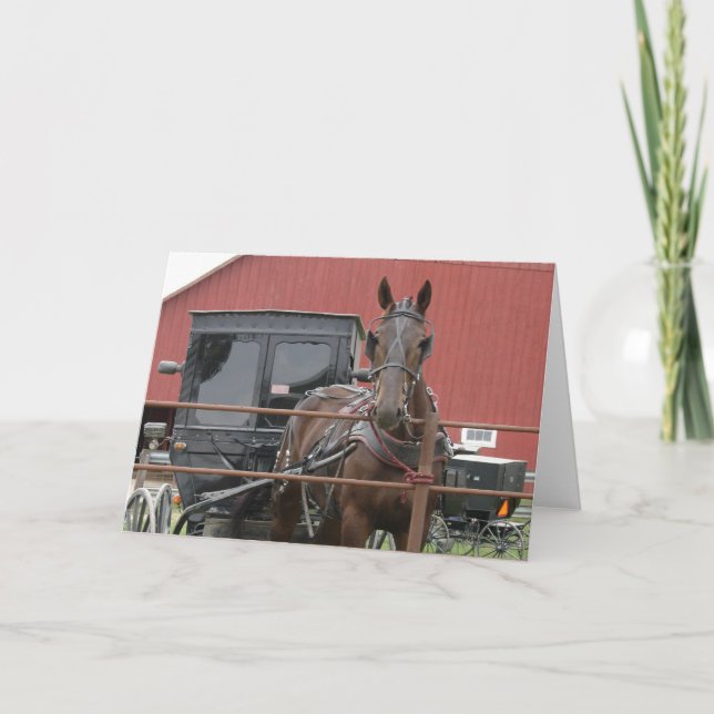 Amish Horse and Buggy Kort (Framsida)