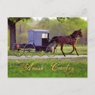 Amish Horse and Buggy, Lancaster, PA Vykort