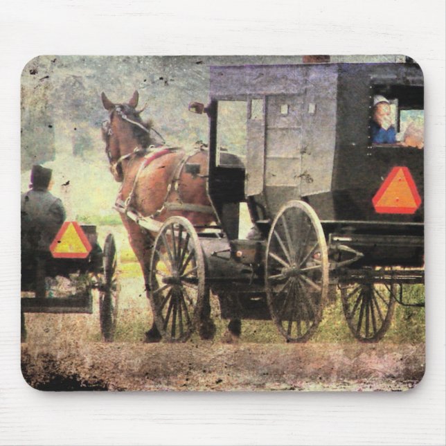 Amish Horse and Buggy Musmatta (Framsidan)