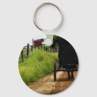 Amish Horse and Buggy