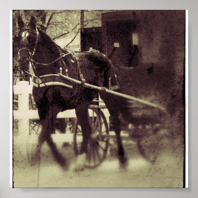 Amish Horse and Buggy Poster (Framsidan)