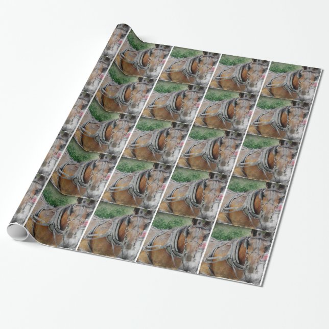 Amish Horse and Buggy Presentpapper (Utrullad)