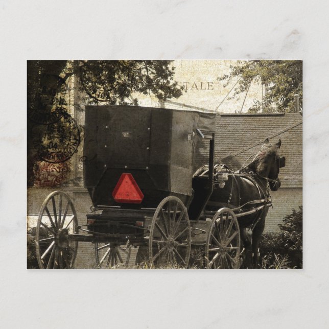 Amish Horse and Buggy Sepia Postcard Digital Art Vykort (Framsida)