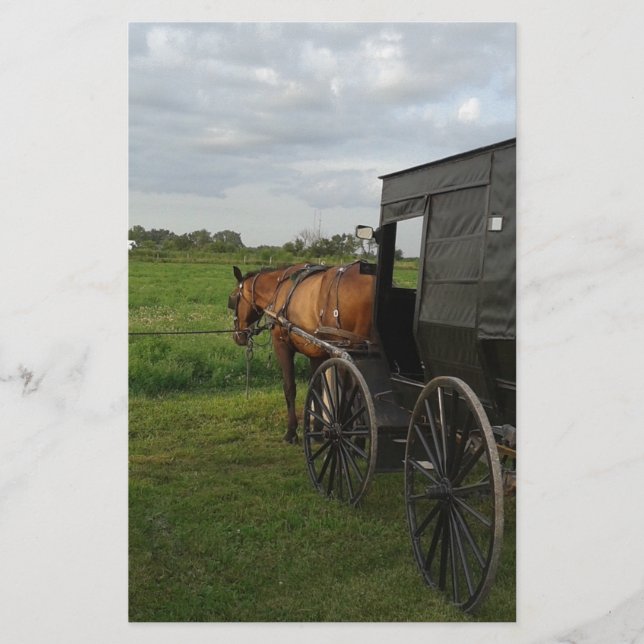 Amish Horse and Buggy vid Sunset Brevpapper (Framsida)
