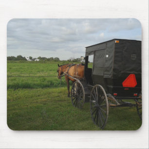 Amish Horse and Buggy vid Sunset Musmatta