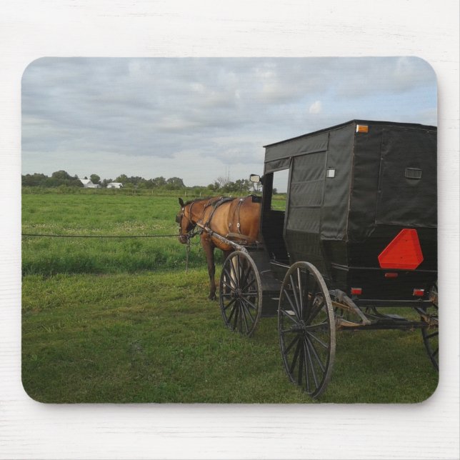Amish Horse and Buggy vid Sunset Musmatta (Framsidan)