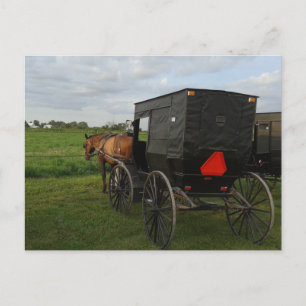 Amish Horse and Buggy vid Sunset Vykort