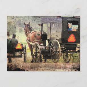 Amish Horse and Buggy Vykort