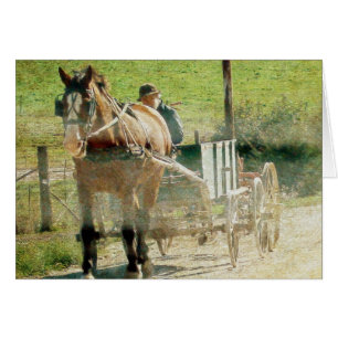 Amish Horse and Cart Hälsningskort