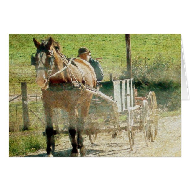 Amish Horse and Cart Hälsningskort (Framsidan Horizontal)