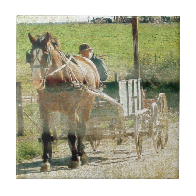 Amish Horse and Cart Kakelplatta (Framsidan)