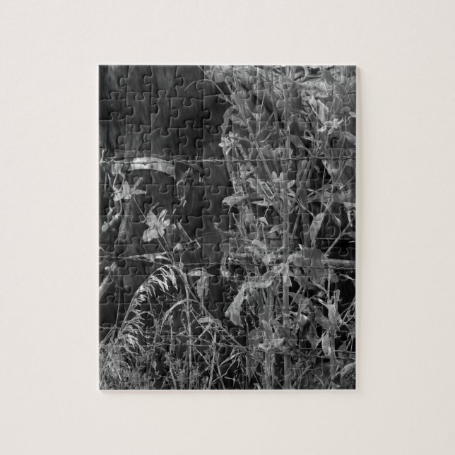Amish Horse Black and White Grunge Pussel (Vertikal)