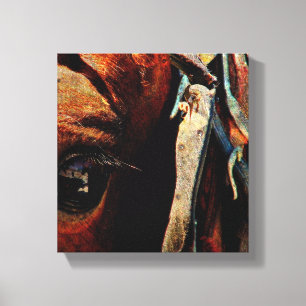 Amish Horse Grunge Canvastryck