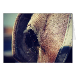 Amish Horse Hälsningskort