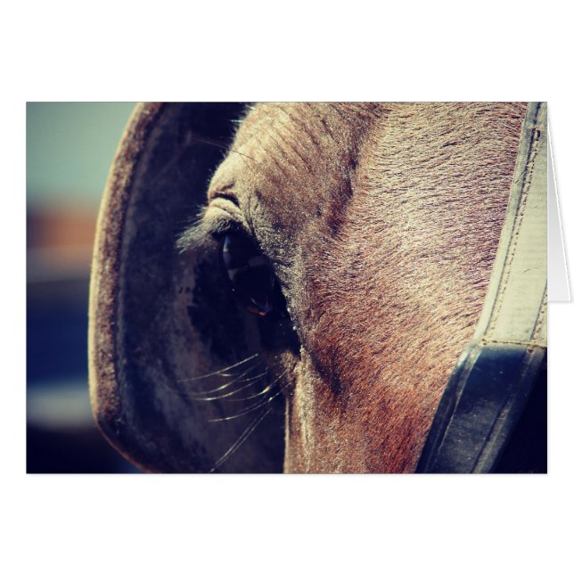 Amish Horse Hälsningskort (Framsidan Horizontal)
