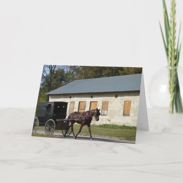 Amish Horse i Bentonsport, Iowa Birthday Kort (Framsida)