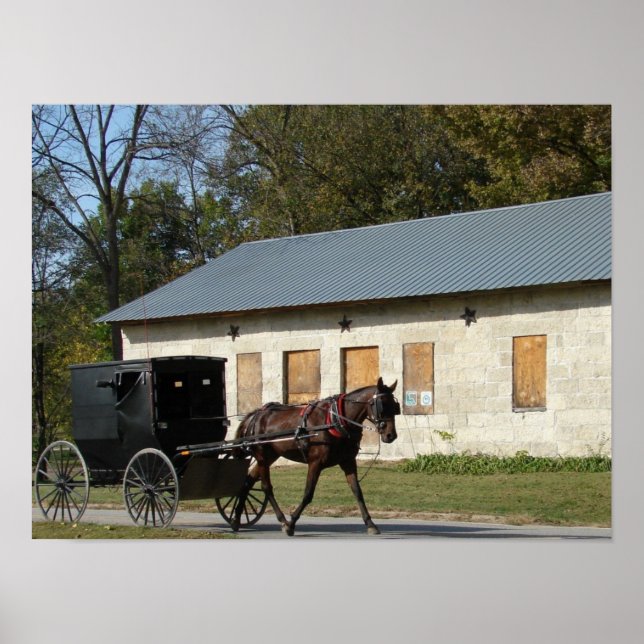 Amish Horse i Bentonsport, Iowa Poster (Framsidan)
