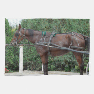 Amish Horse Kökshandduk