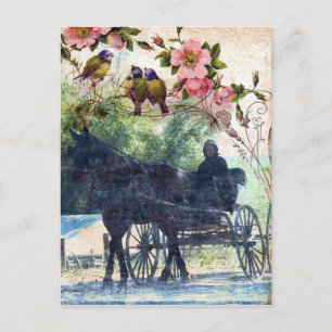 Amish Horse och Buggy Birdie Struktur Vykort