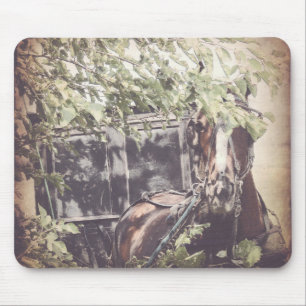 Amish Horse och Buggy i Skugga Musmatta