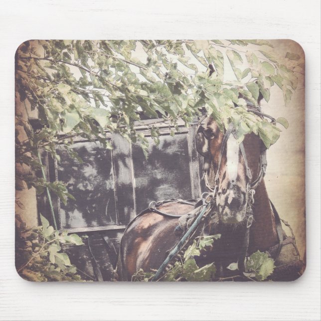 Amish Horse och Buggy i Skugga Musmatta (Framsidan)