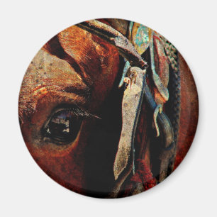 Amish Horse Öga Magnet