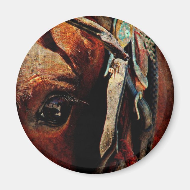 Amish Horse Öga Magnet (Framsidan)