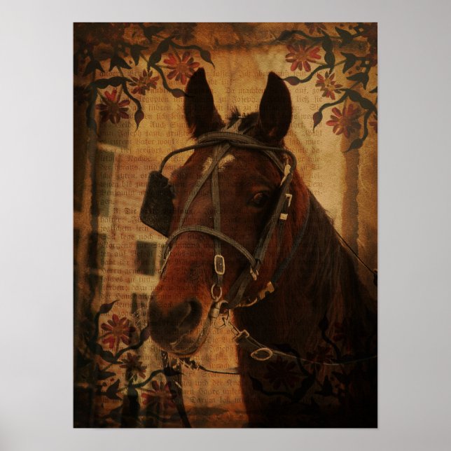 Amish Horse Poster (Framsidan)