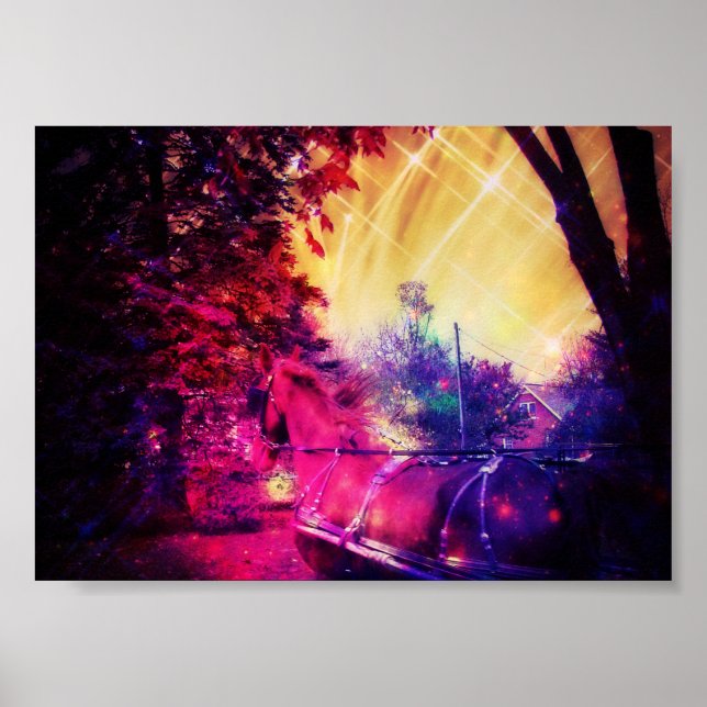 Amish Horse Roligt Poster (Framsidan)