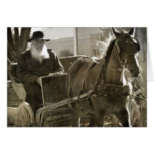 Amish Horse, som är Fånig med Tunga utstucken Hälsningskort