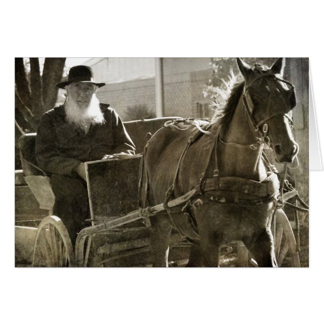 Amish Horse, som är Fånig med Tunga utstucken Hälsningskort (Framsidan Horizontal)