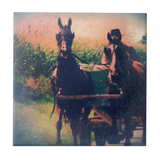 Amish Horse Team Kakelplatta (Framsidan)