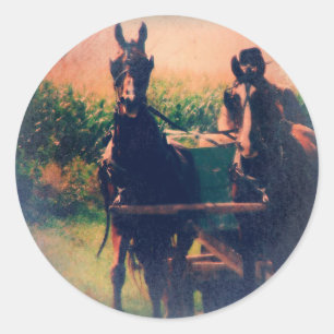 Amish Horse Team Runt Klistermärke