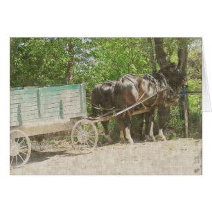 Amish Horses and Wagon Hälsningskort