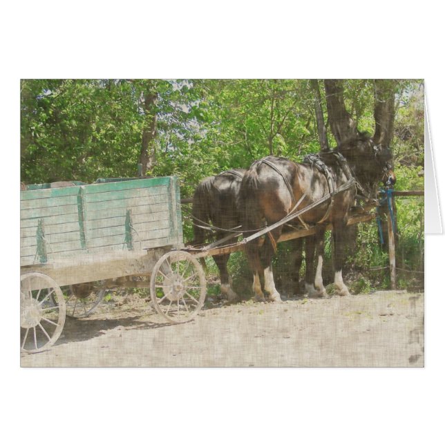 Amish Horses and Wagon Hälsningskort (Framsidan Horizontal)
